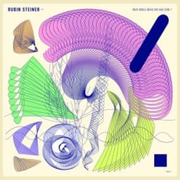 What Would Brian Eno Have Done? - Rubin Steiner