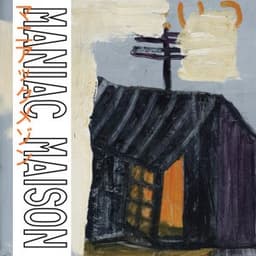 New Museum - Maniac Maison & Lucien Fraipont & Shoko Igarashi & Casimir Liberski